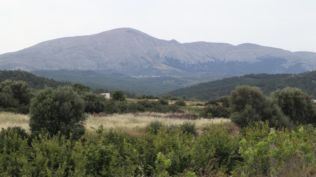 Echo Traditional House - Ηχώ Παραδοσιακό Σπίτι Embonas Екстер'єр фото